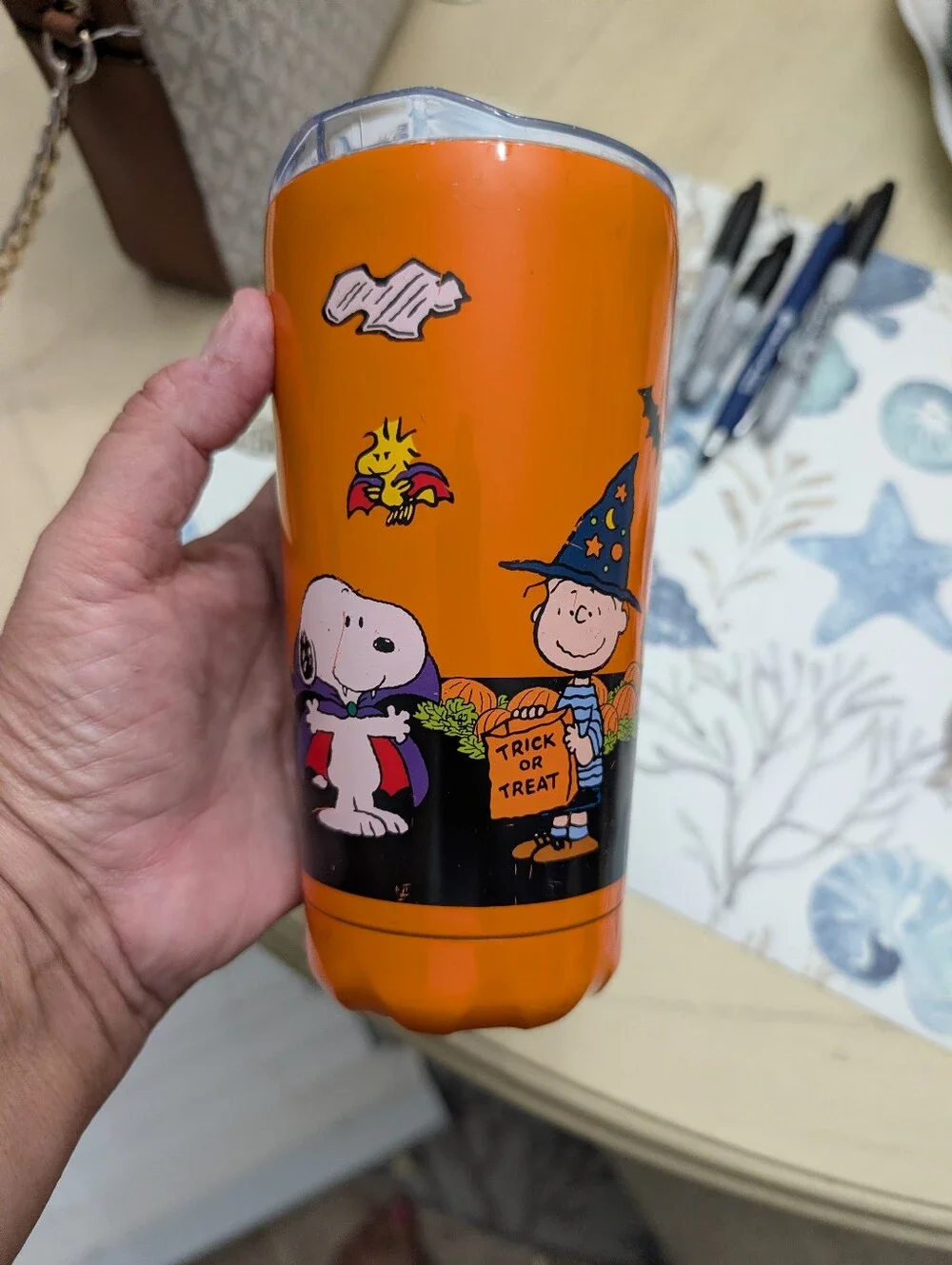 Peanuts Halloween Snoopy And Friends Trick-or-Treat Costume Halloween Metal